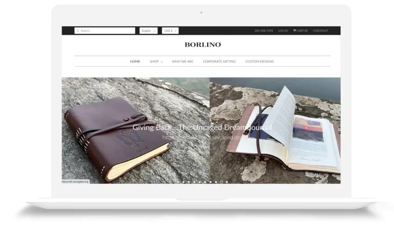 UI/UX, eCommerce Website & Digital Marketing | Borlino